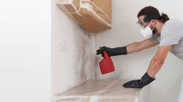 Professional Basement Mold Remediation technician working in Randolph, MN